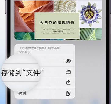 北流apple维修中心分享iPhone文件应用中存储和找到下载文件