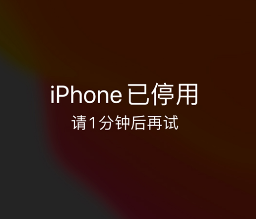 北流苹果手机维修分享:iPhone 显示“不可用”或“已停用”怎么办？还能保留数据吗？ 