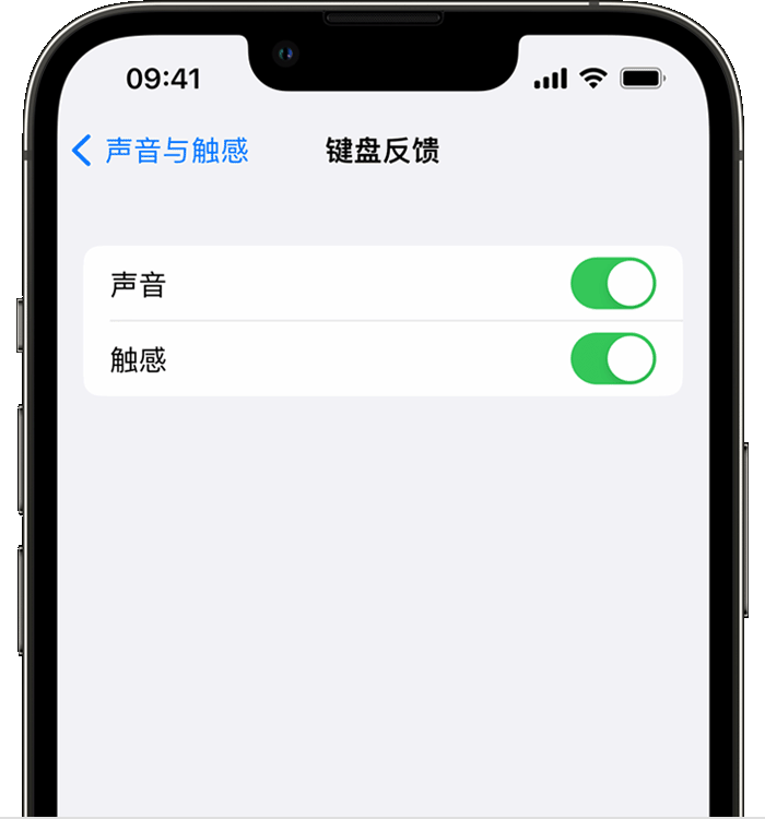 北流苹果14维修店分享如何在 iPhone 14 机型中使用触感键盘 