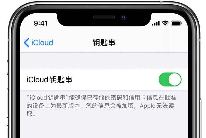 北流苹果手机维修分享在 iPhone 上开启 iCloud 钥匙串之后会储存哪些信息 