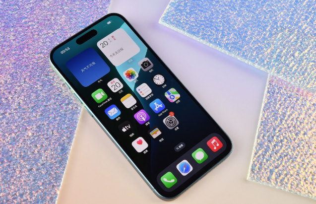 北流苹果手机维修分享为什么大家不喜欢苹果iPhone 16 Plus 